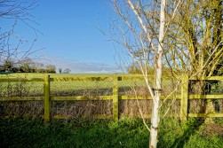 Wistow, Huntingdon