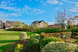 Hinchingbrooke Park, Huntingdon