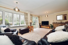 Shelton Road, Shelton