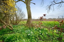 Brampton, Huntingdon