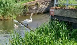 Buckden, St Neots, Cambridgeshire