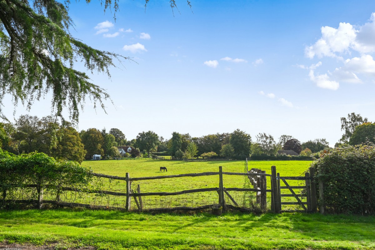 Image for Barnets Hill, Peasmarsh, East Sussex, TN31 6YJ