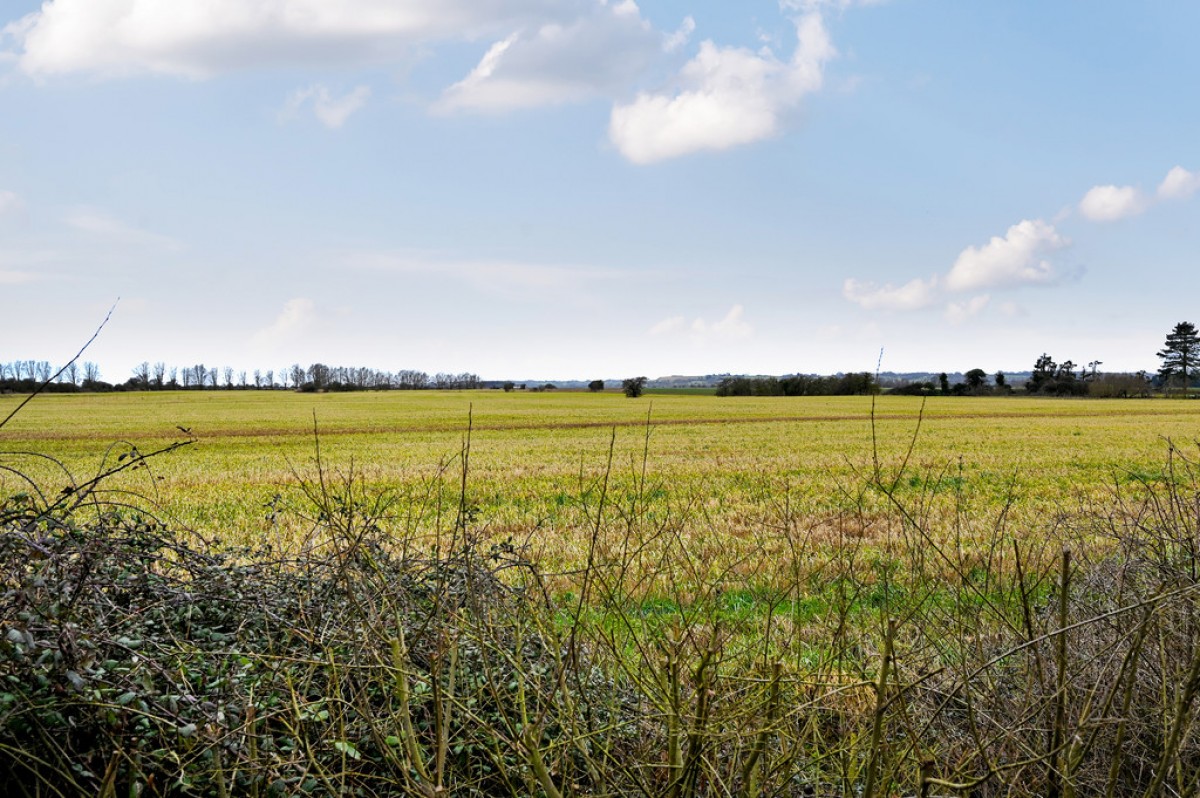 Image for Applegate Court, Appledore, Kent TN26 2AQ