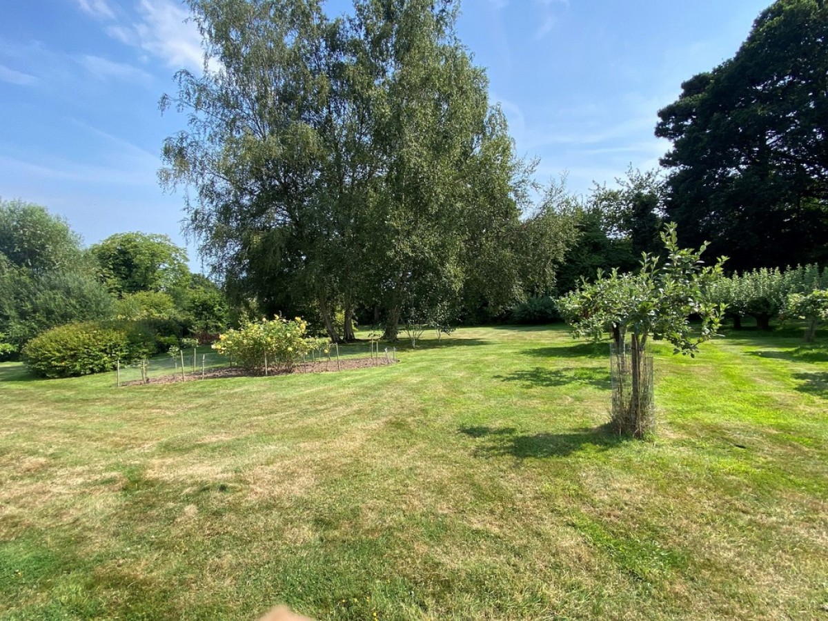 Image for Saltbarn Lane, Playden, Near Rye, East Sussex TN31 7PH