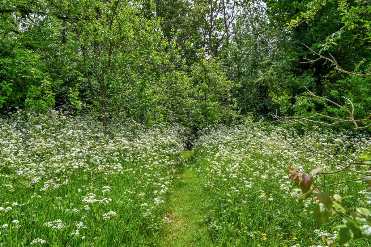 Image for Mounts Lane, Rolvenden Layne, Cranbrook, Kent TN17 4NU