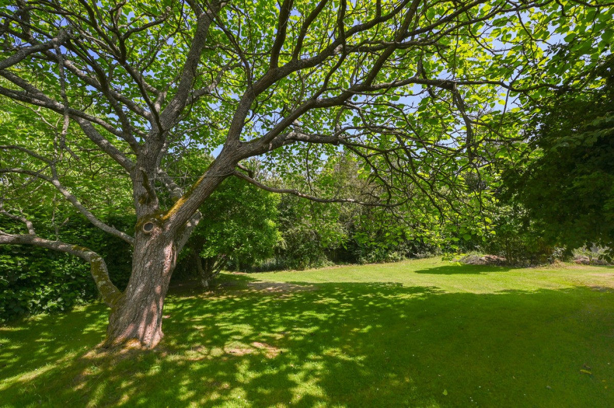 Image for Stone Cum Ebony, Tenterden, Kent TN30 7JG