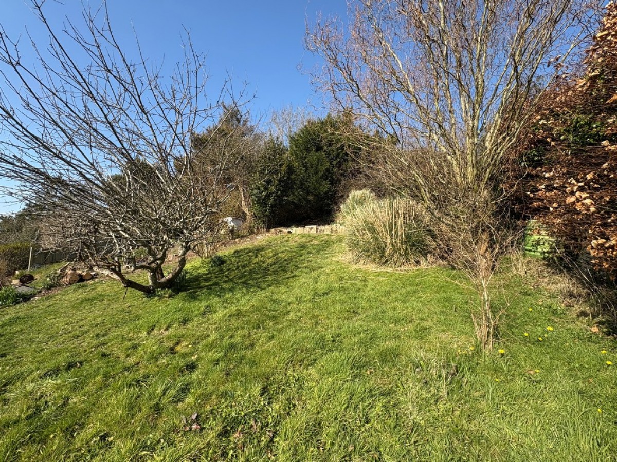 Image for Love Lane, Rye, East Sussex TN31 7NE