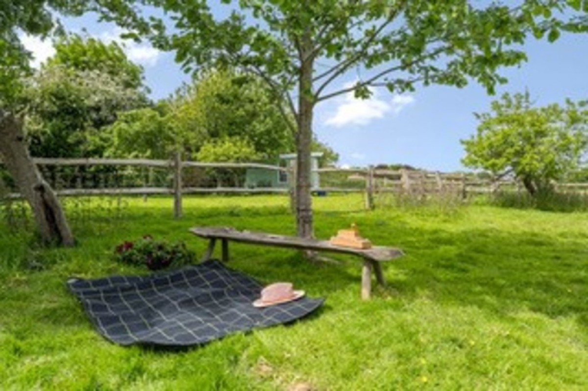 Image for Playden Lane, Iden, Near Rye, East Sussex TN31 7PS
