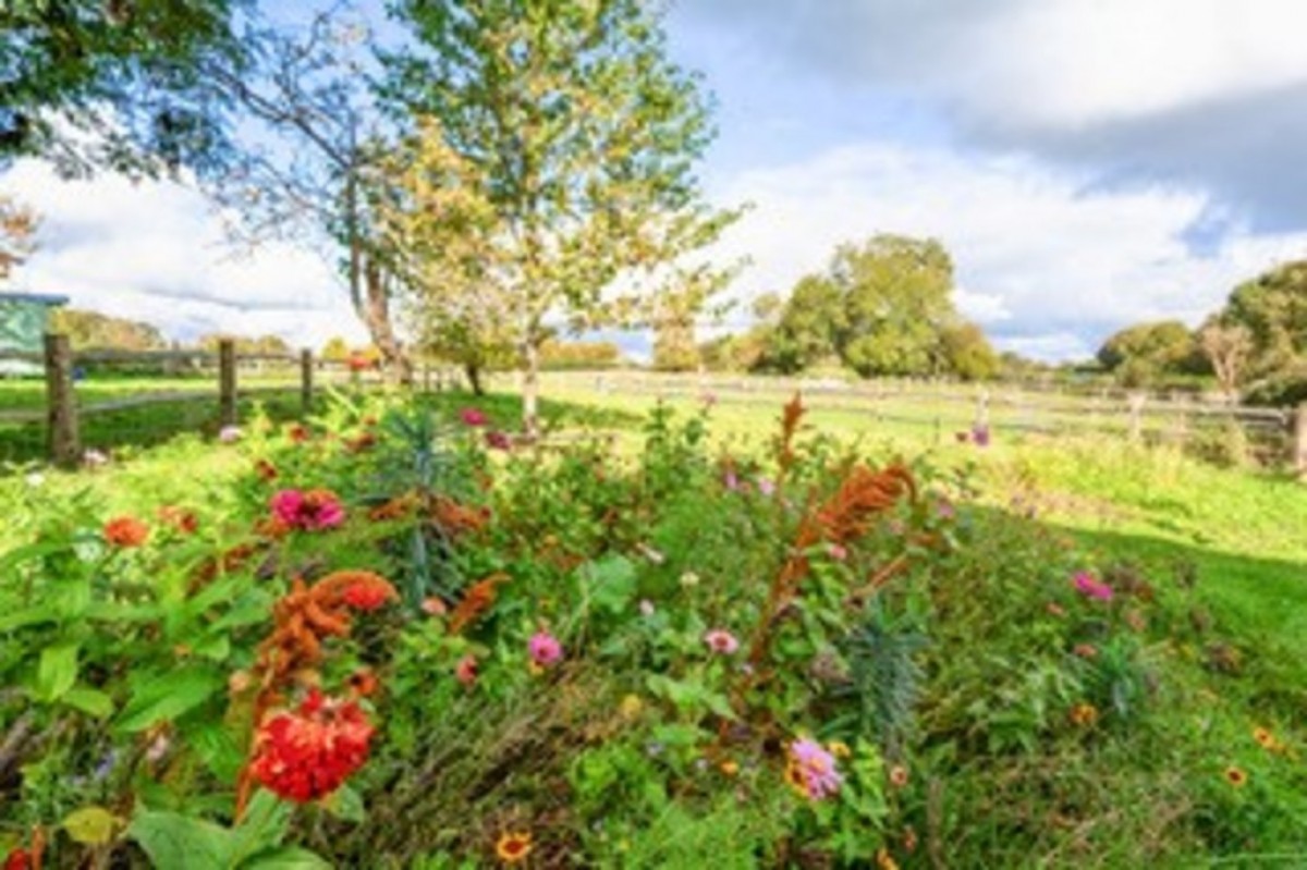 Image for Playden Lane, Iden, Near Rye, East Sussex TN31 7PS