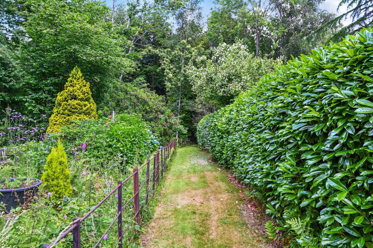 Image for Icklesham, Winchelsea, East Sussex TN36 4AR