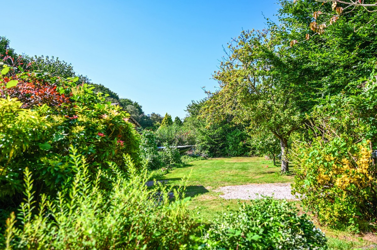 Image for Butchers Lane, Three Oaks, East Sussex TN35 4NH