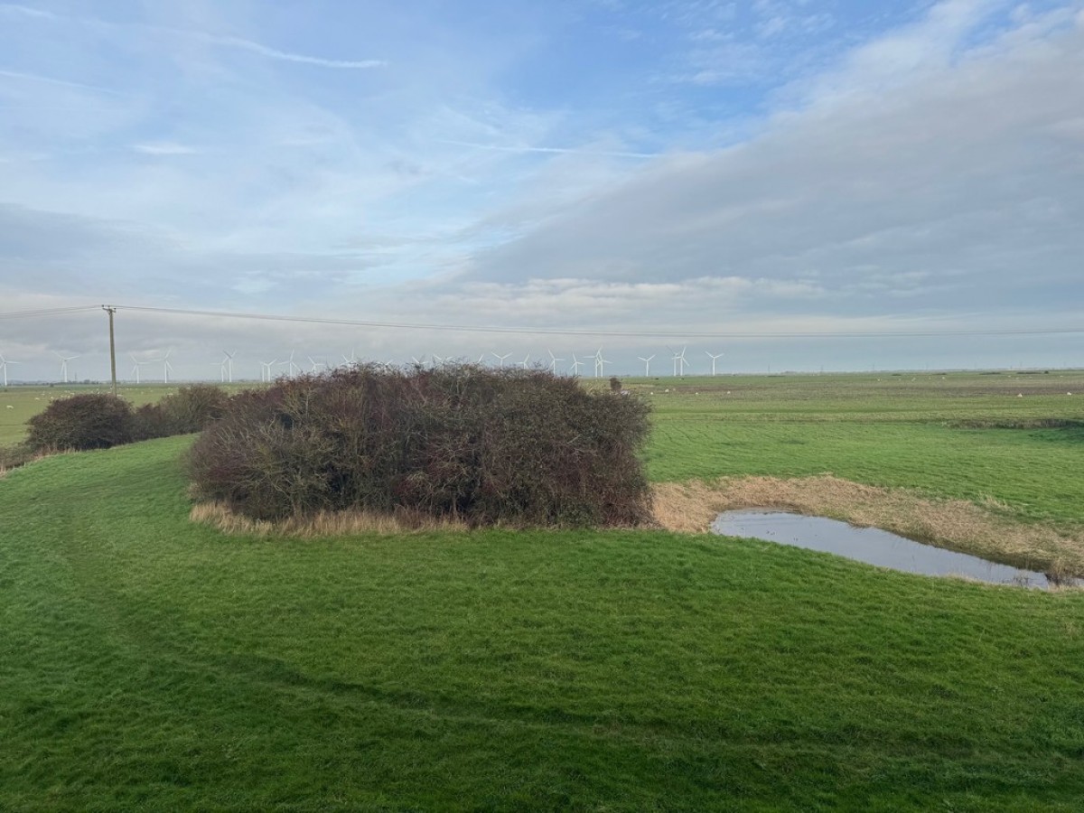 Image for Whitesand Drive, Camber