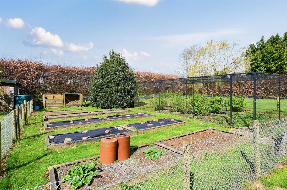 Image for Saltbarn Lane, Playden, Near Rye, East Sussex TN31 7PH