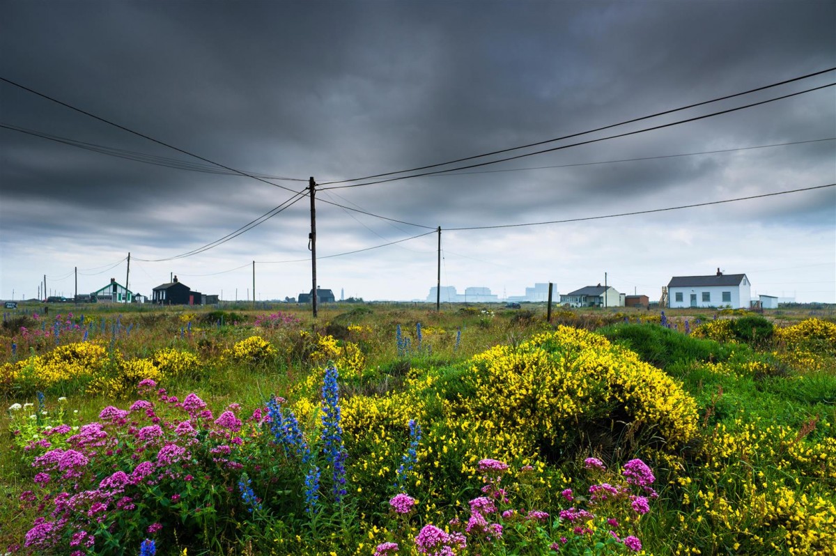 Image for Dungeness, Kent TN29 9NE