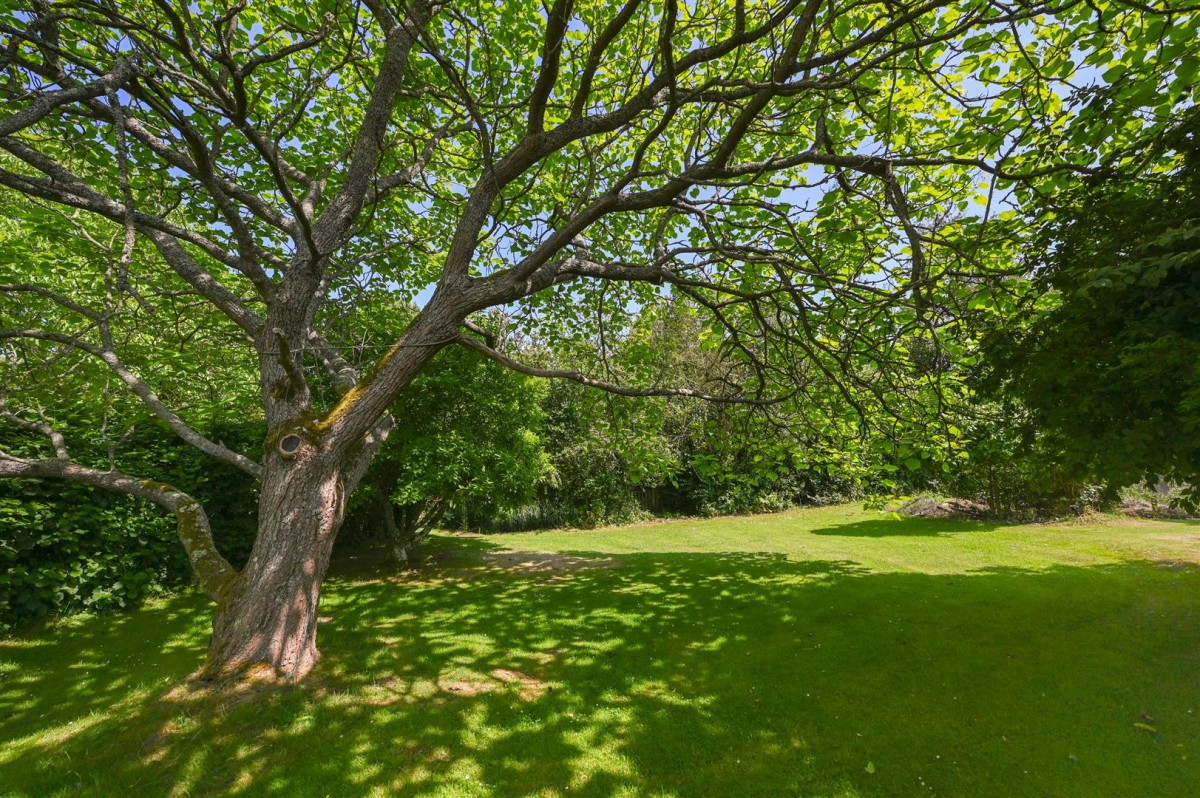 Image for Stone Cum Ebony, Tenterden, Kent TN30 7JG