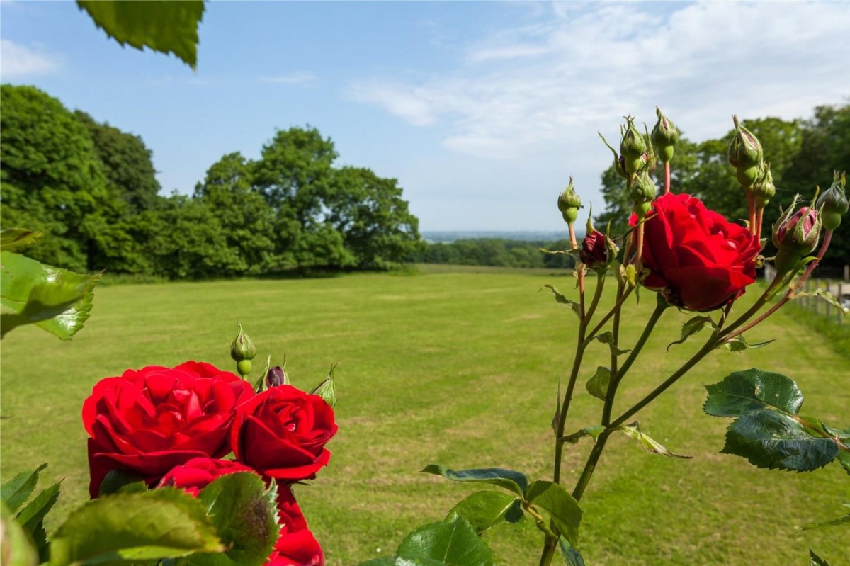 Image for Northiam Road, Staplecross, Robertsbridge