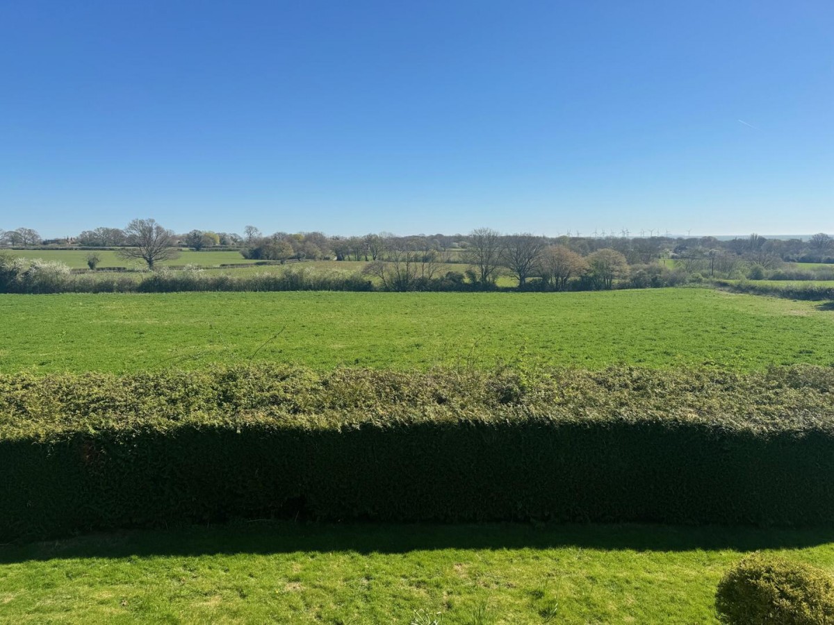 Image for Iden Road, Iden