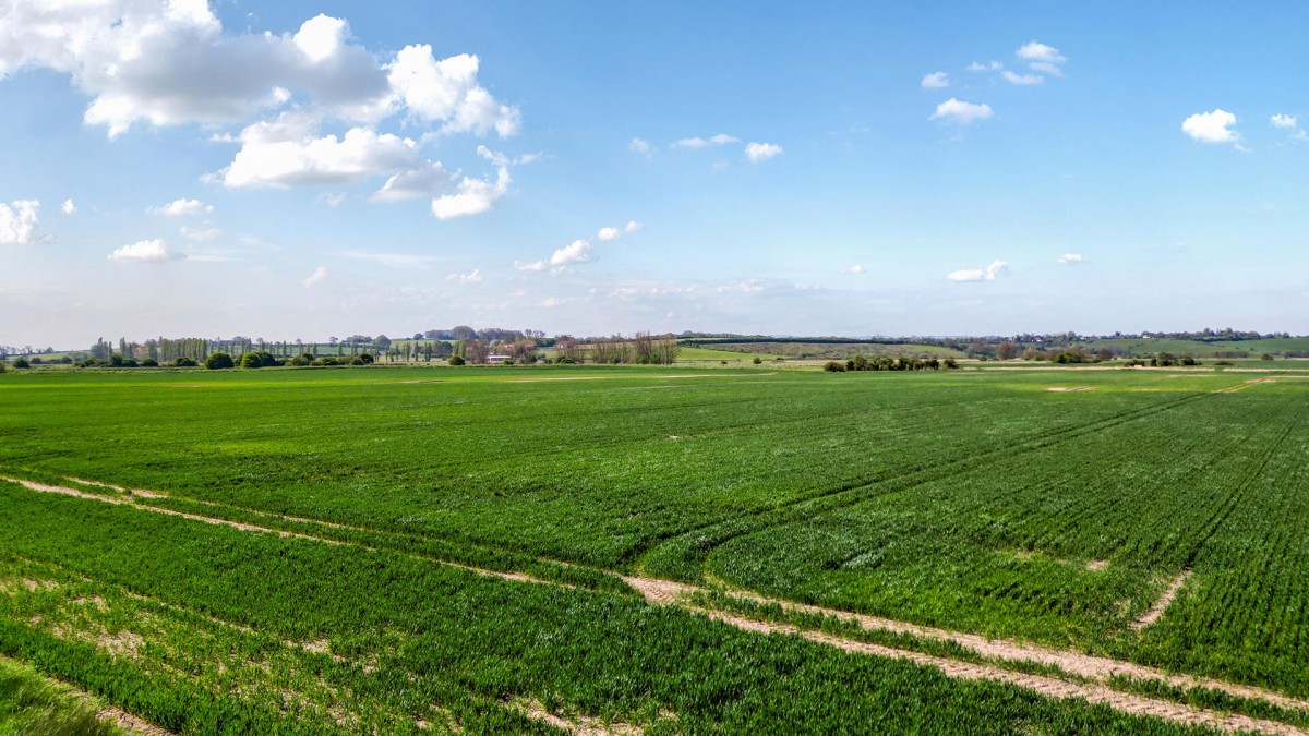 Image for Station Road, Winchelsea, East Sussex TN36 4JX