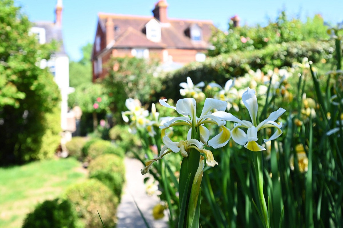 Image for The Grove, Rye, East Sussex