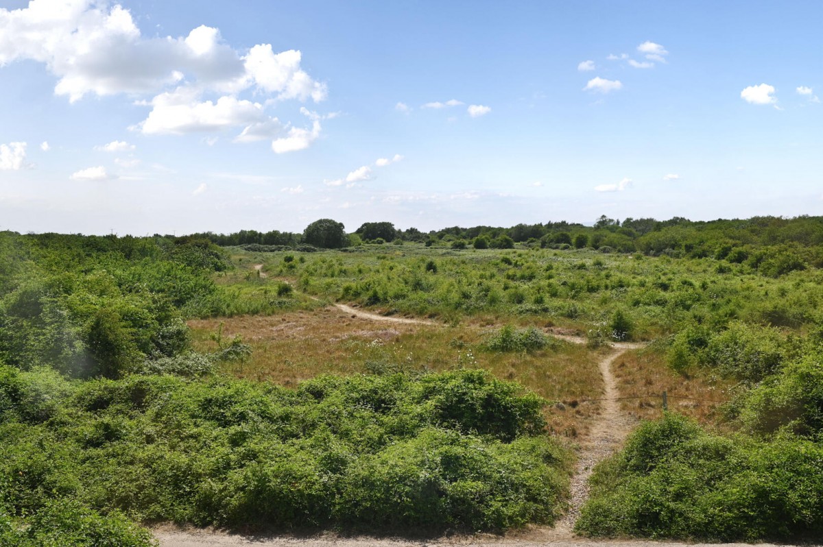 Image for Lucas Shadwell Way, Rye