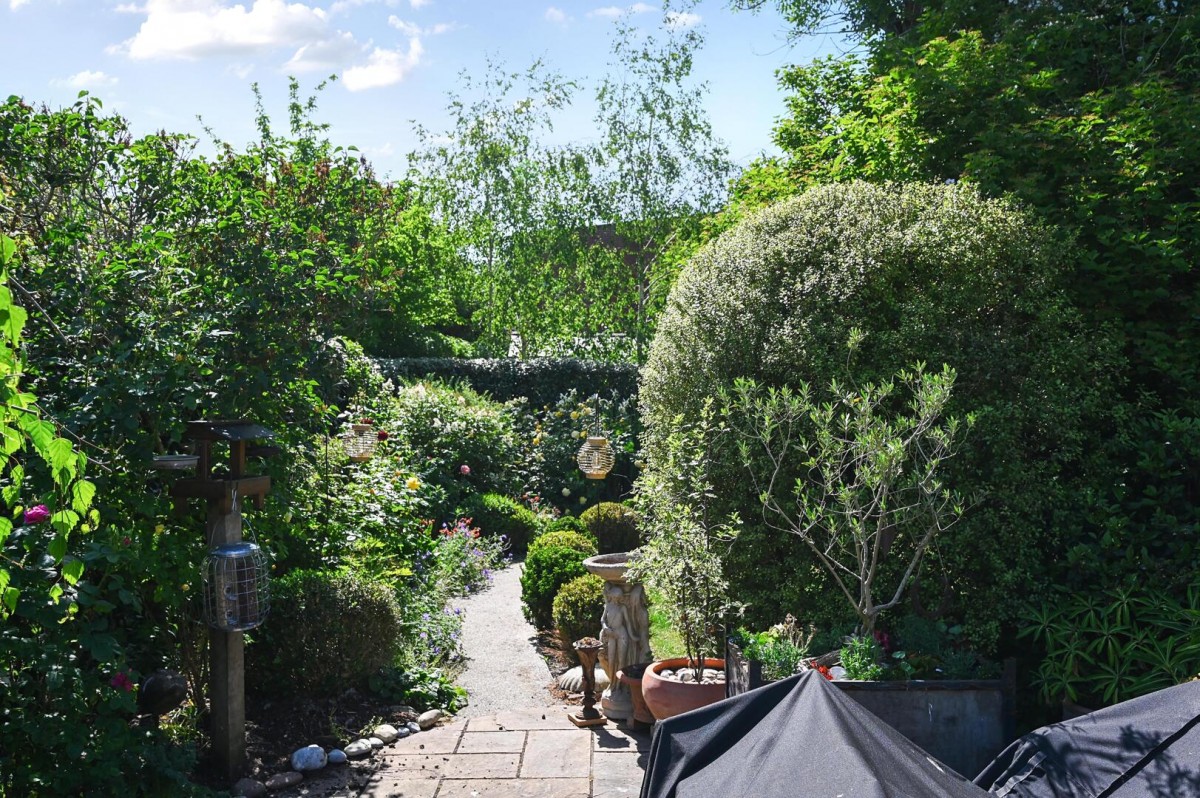 Image for The Grove, Rye