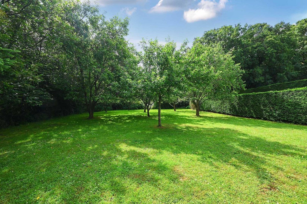 Image for Starvecrow Lane, Peasmarsh, Rye