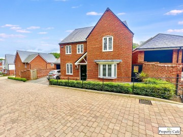 Levetts Wood, Bexhill-on-Sea, East Sussex