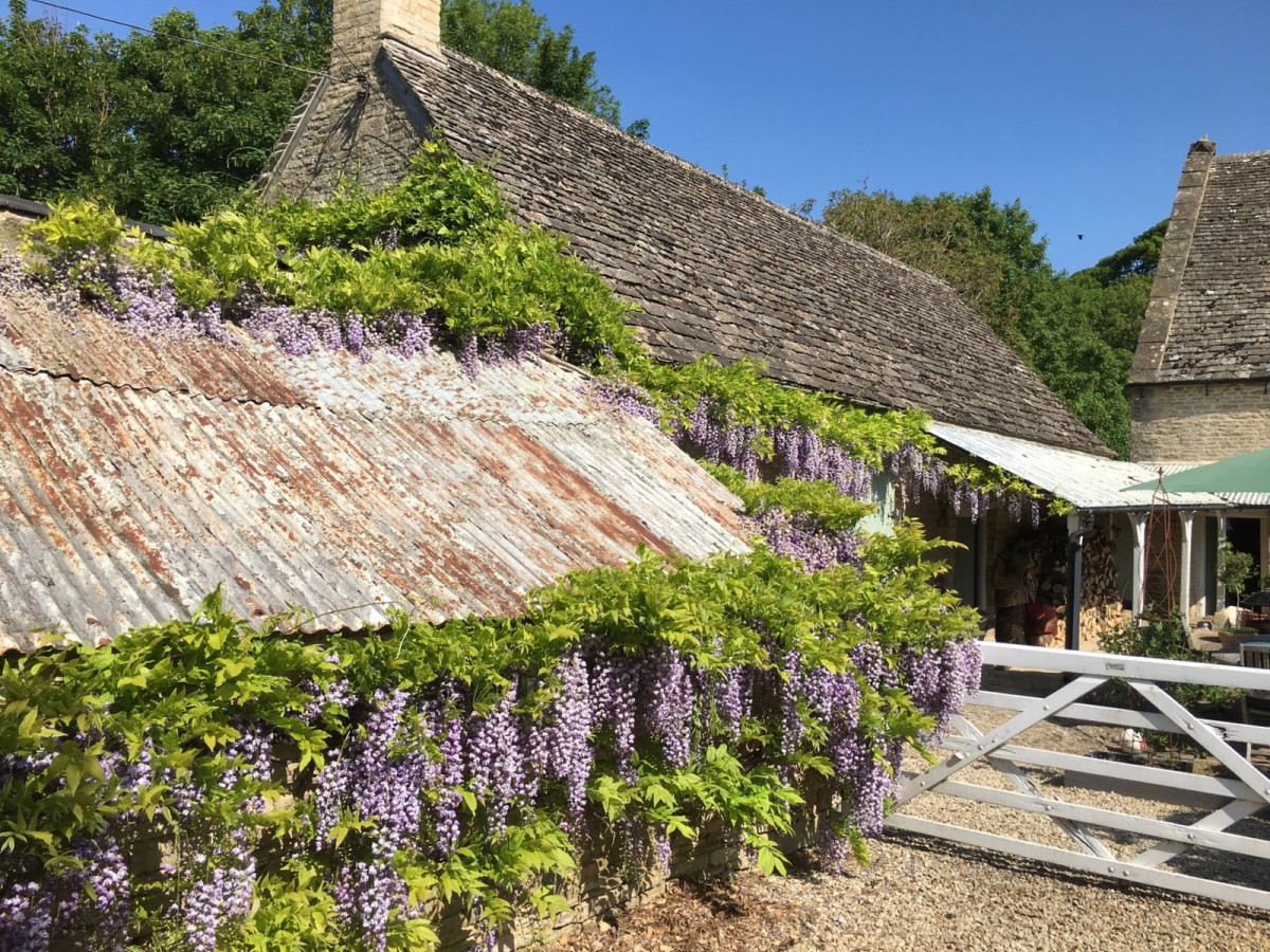 Grange Farm, image 14 of 33