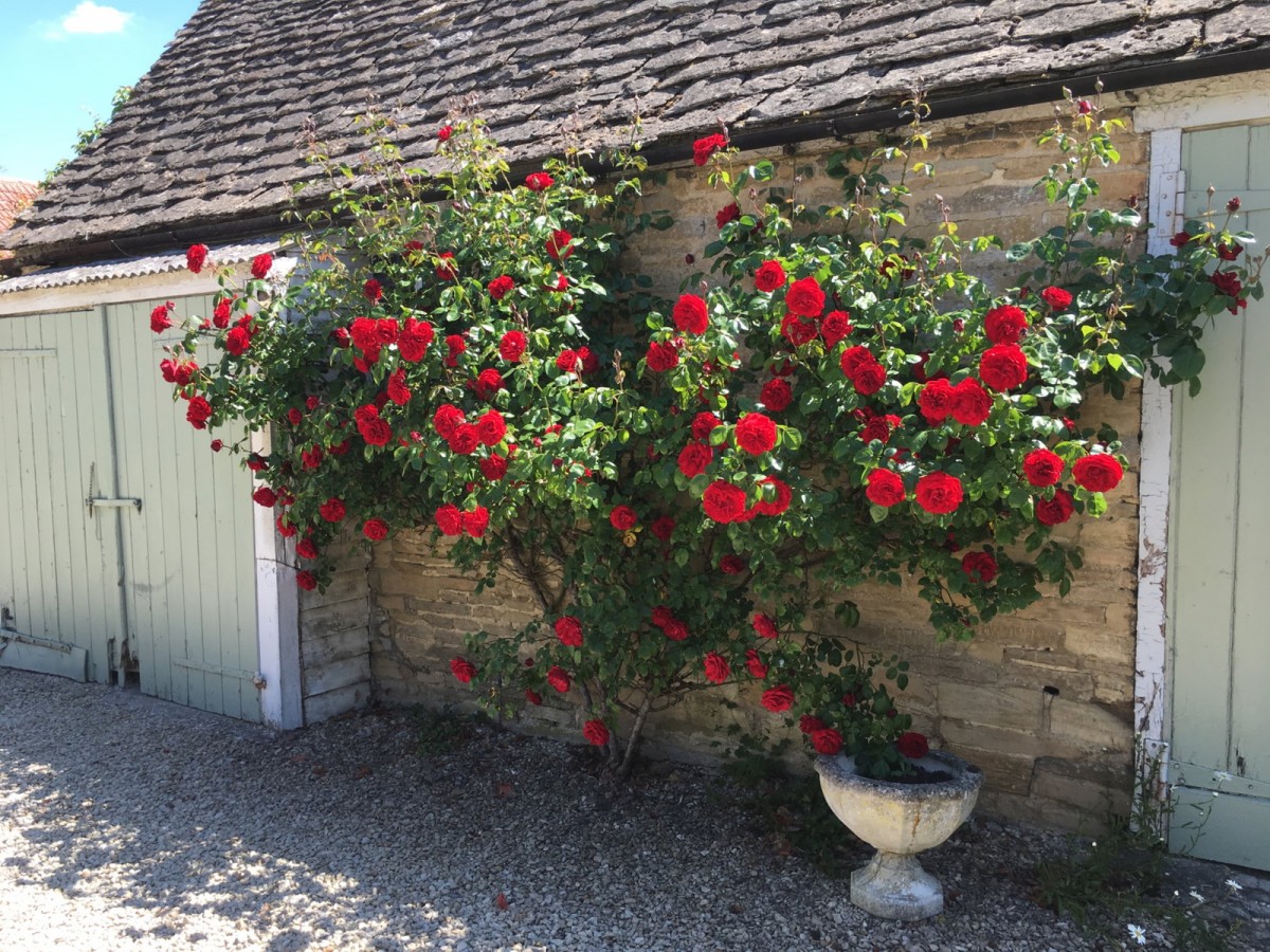Grange Farm, image 17 of 33