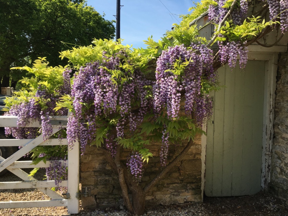 Grange Farm, image 18 of 33
