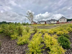 Brunswick Avenue, Coalville, Leicestershire