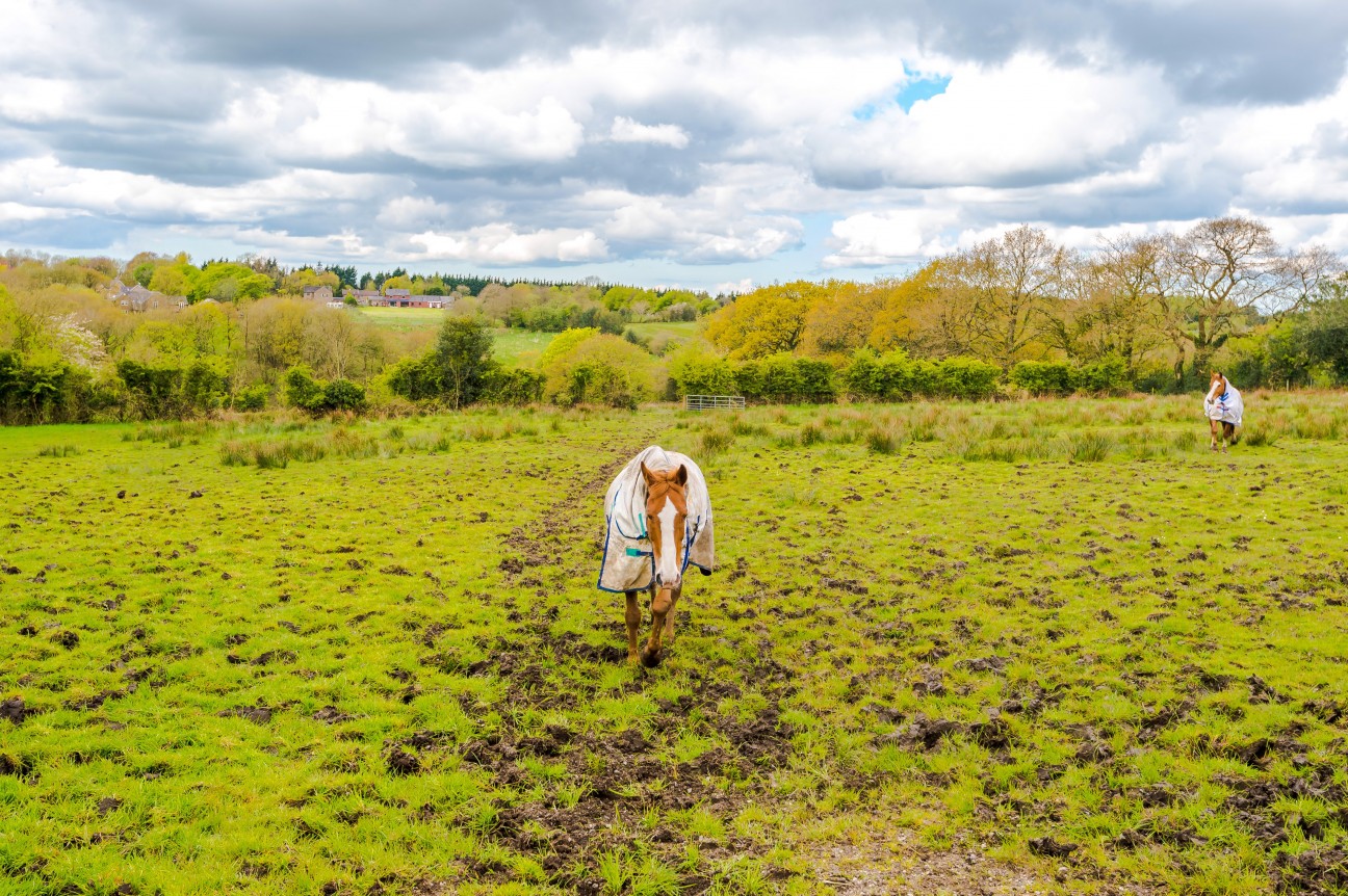 Heath Charnock, Chorley