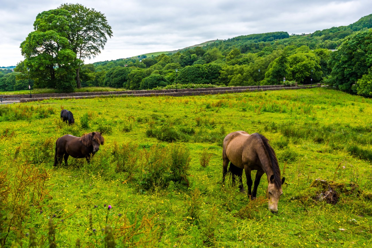 Horwich, Bolton