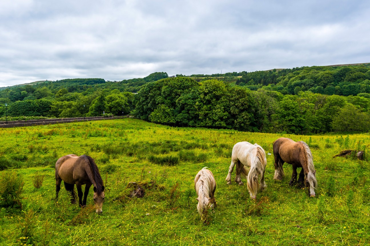 Horwich, Bolton