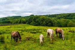 Horwich, Bolton