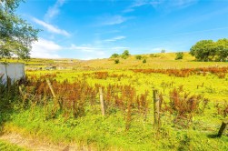 Horwich, Bolton