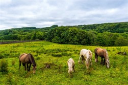 Horwich, Bolton