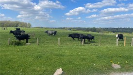 Bolton, Greater Manchester