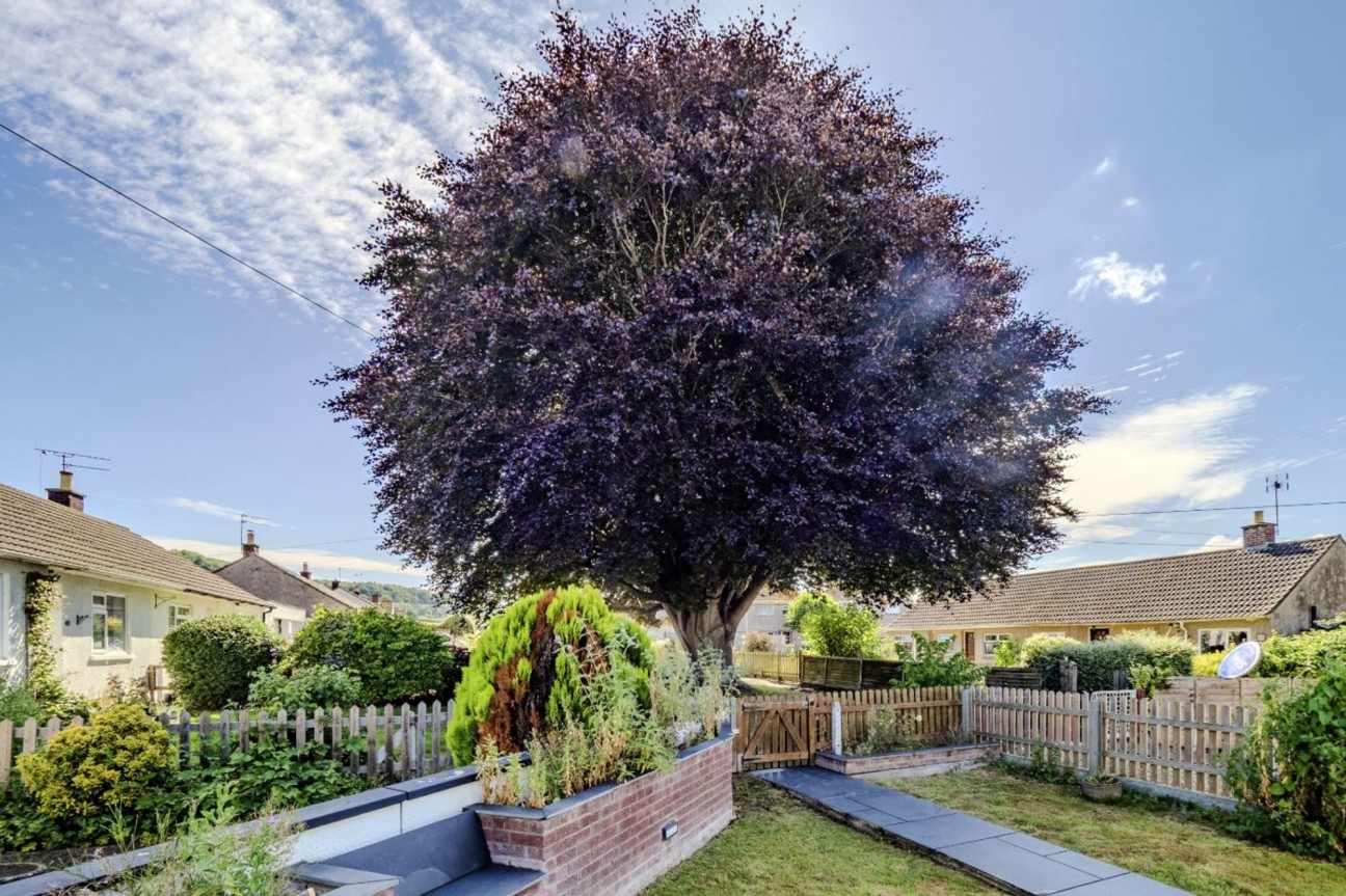 South Meadows, Wrington, BS40