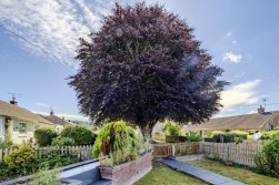 South Meadows, Wrington, BS40
