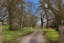 Chelvey Road, Nailsea, BS48