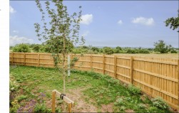 Mansbury Gardens, Congresbury, BS49