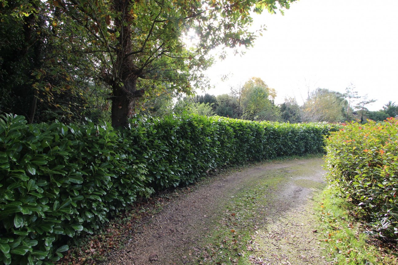 Silverstreet, Wrington, BS40