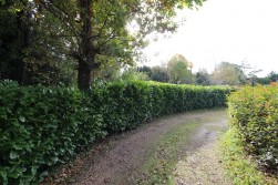 Silverstreet, Wrington, BS40