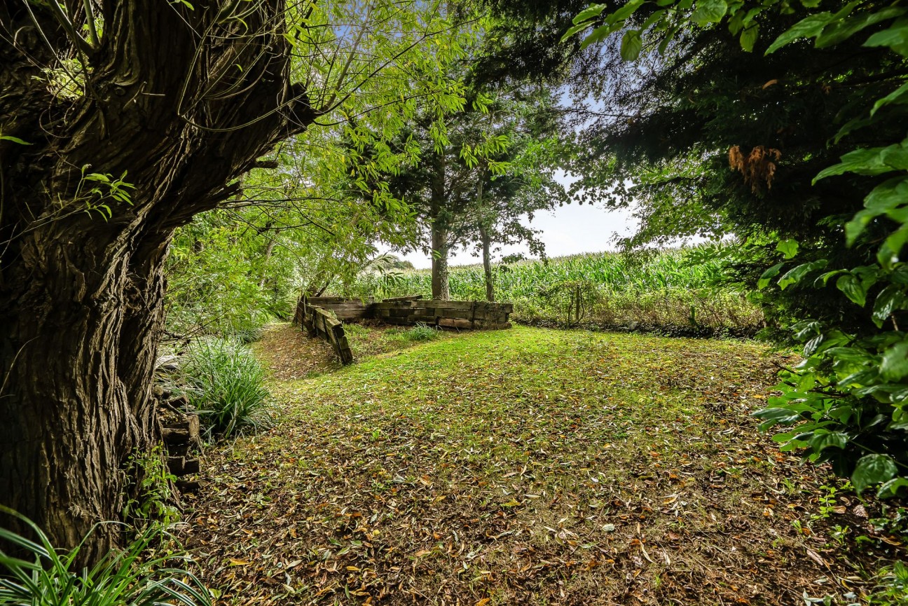 Impressive, detached country residence on edge of Wrington with stunning parkland gardens