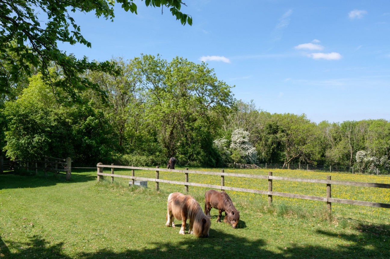 Hunters Lodge, Backwell Hill, BS48 - exceptional country estate set in 15 acres with extensive equestrian facilities