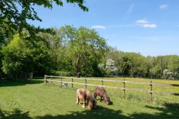 Hunters Lodge, Backwell Hill, BS48 - exceptional country estate set in 15 acres with extensive equestrian facilities