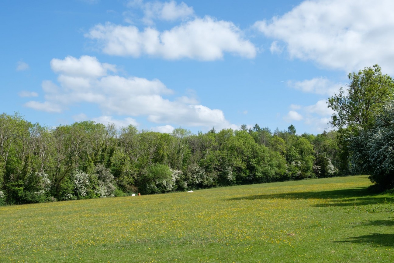 Hunters Lodge, Backwell Hill, BS48 - exceptional country estate set in 15 acres with extensive equestrian facilities