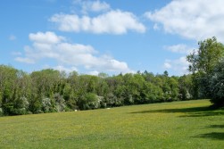 Hunters Lodge, Backwell Hill, BS48 - exceptional country estate set in 15 acres with extensive equestrian facilities