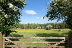 Hunters Lodge, Backwell Hill, BS48 - exceptional country estate set in 15 acres with extensive equestrian facilities